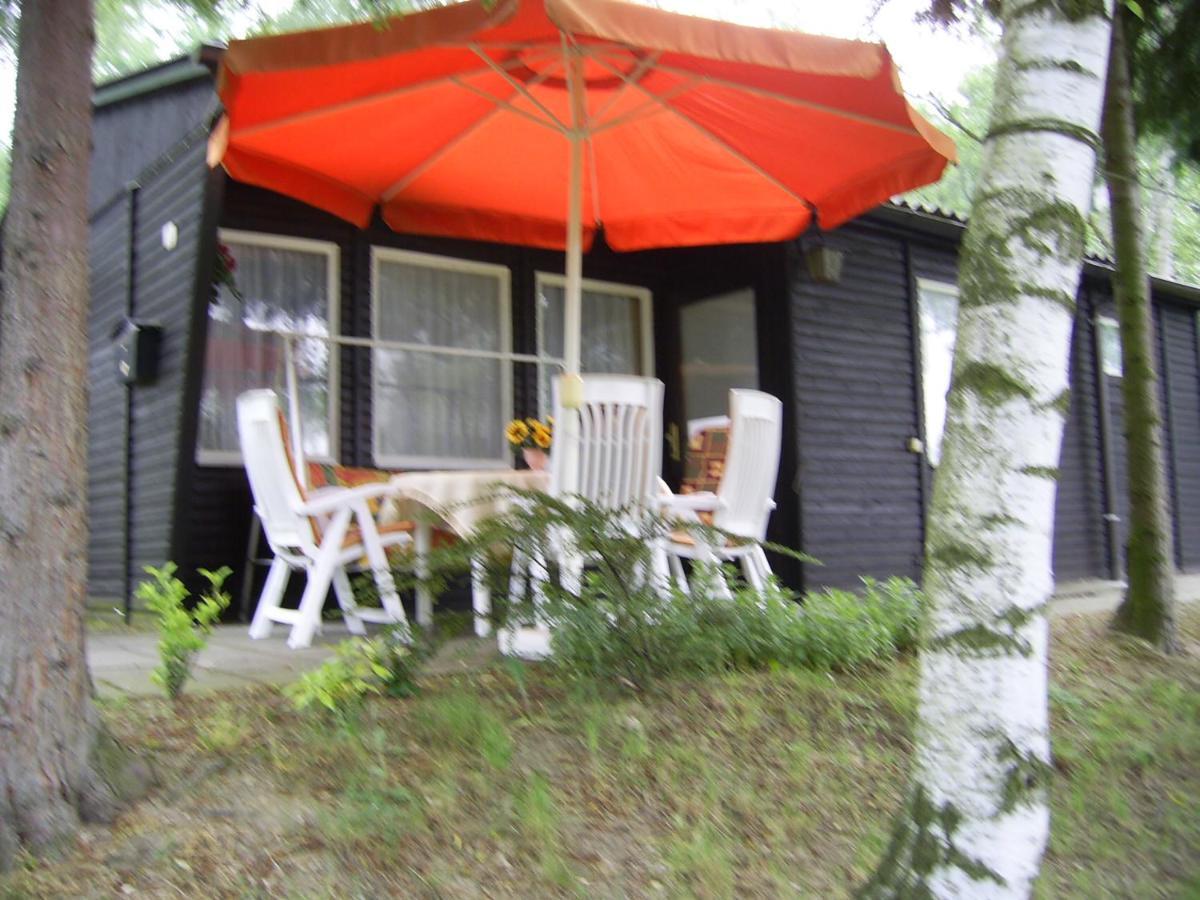 Ferienhaus Lilienstein Bad Schandau Ngoại thất bức ảnh
